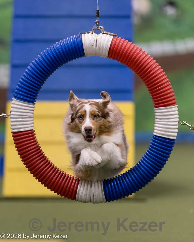 20260222-1062.jpg