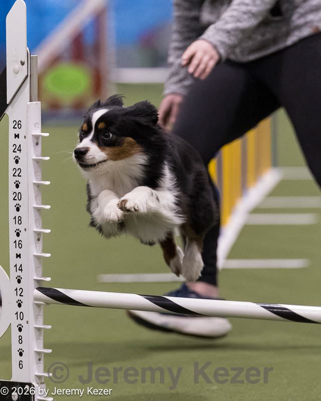 20260222-1347.jpg
