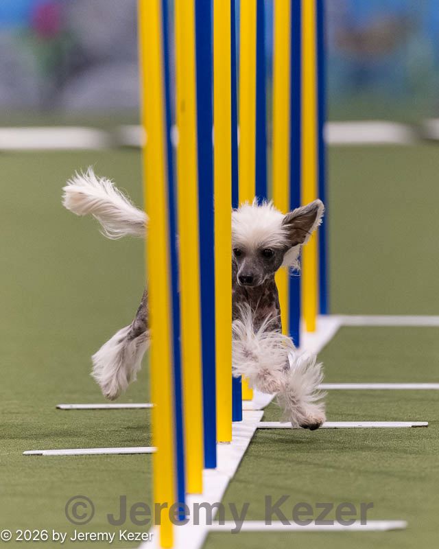 20260222-1351.jpg