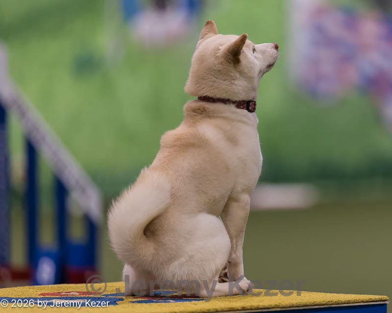 20260222-1017.jpg