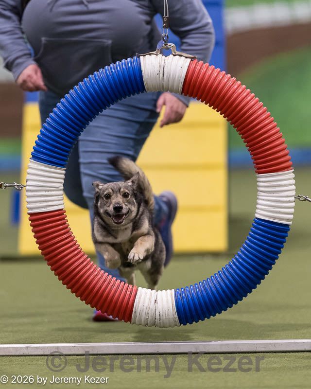 20260222-1029.jpg