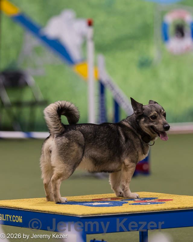 20260222-1033.jpg
