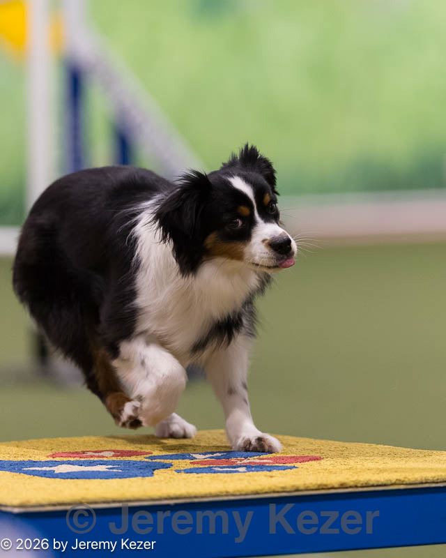 20260222-1039.jpg