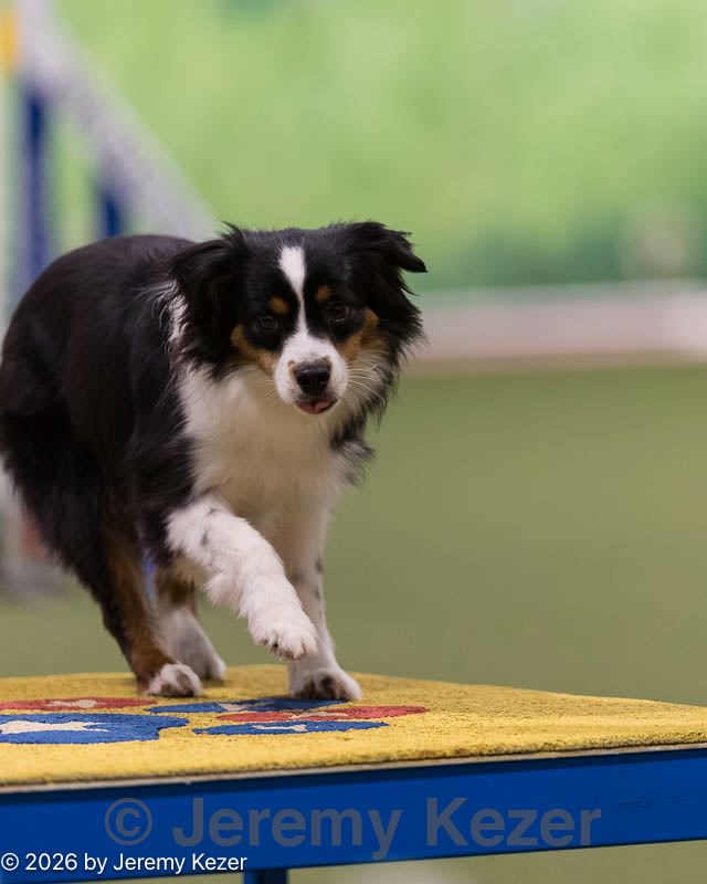 20260222-1040.jpg