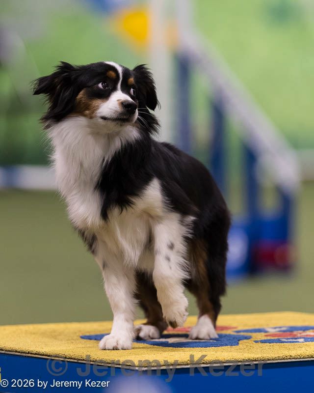 20260222-1041.jpg