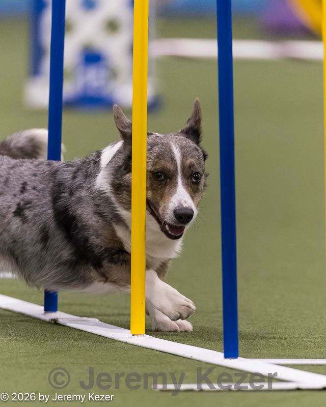 20260222-1271.jpg