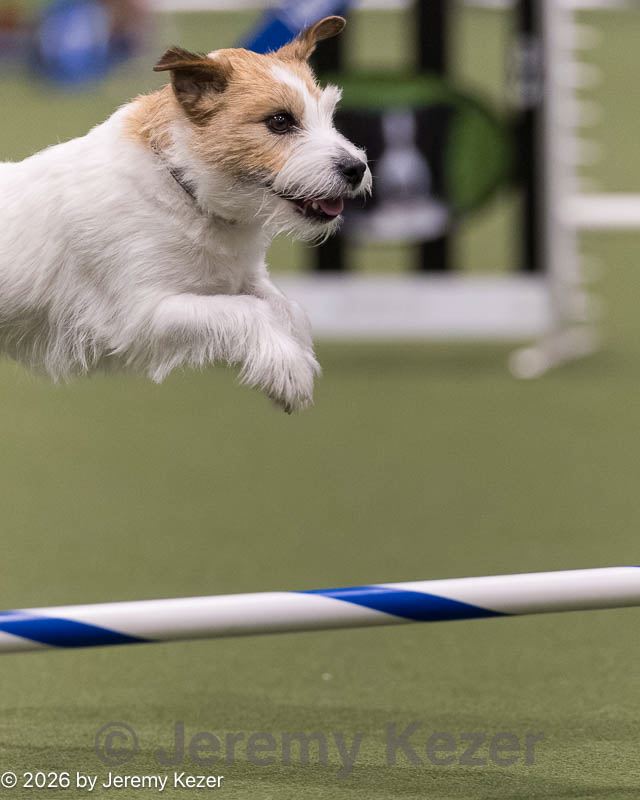 20260222-1312.jpg
