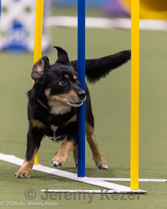 20260222-1316.jpg