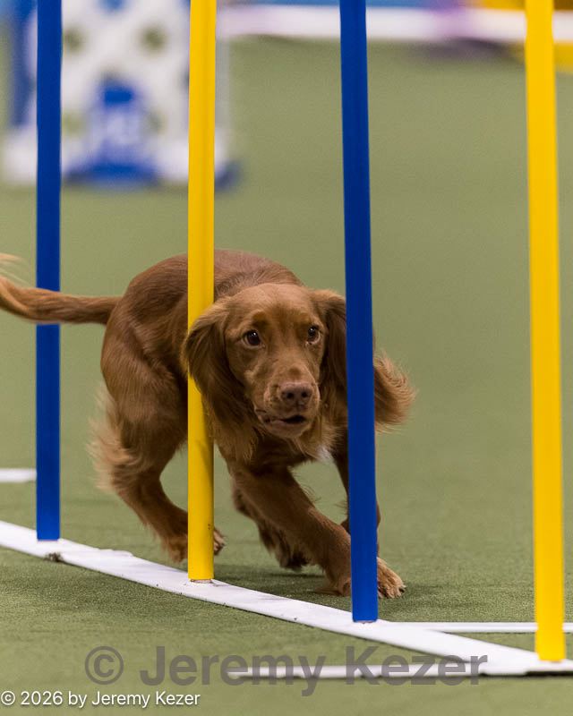 20260222-1259.jpg
