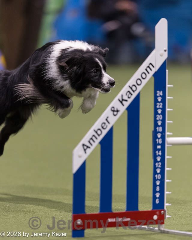 20260222-1199.jpg