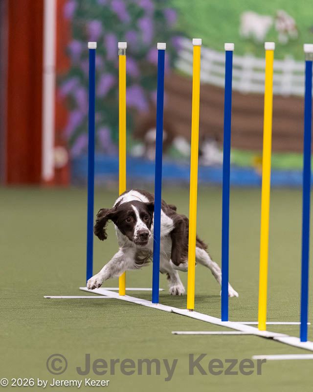 20260222-1207.jpg