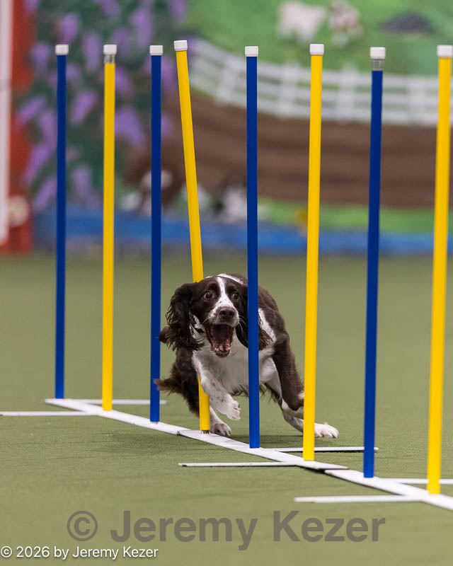 20260222-1208.jpg