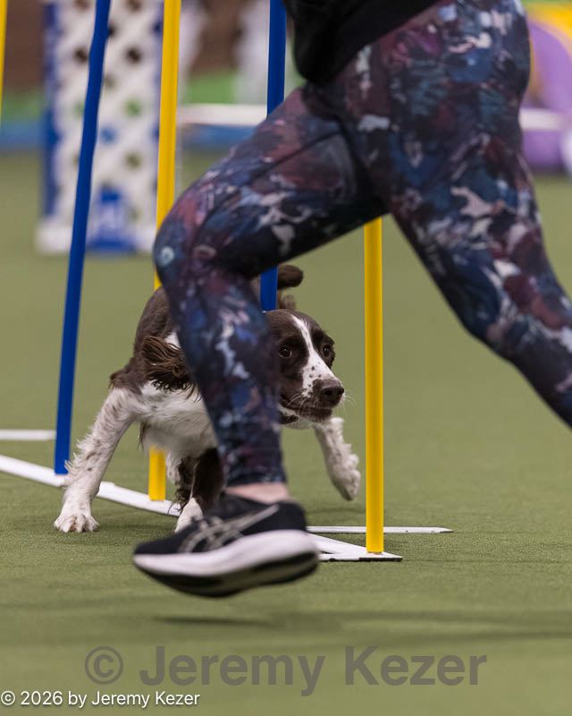 20260222-1211.jpg