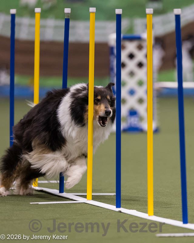 20260222-1223.jpg