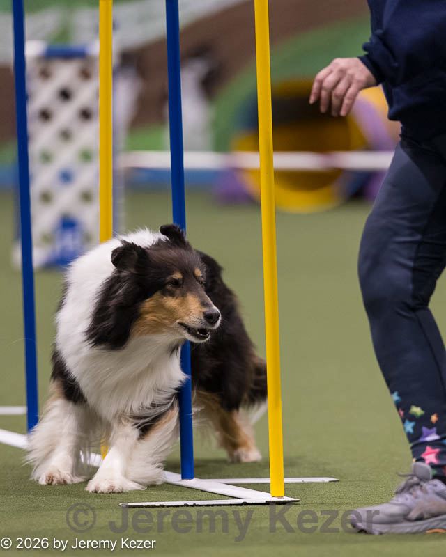 20260222-1225.jpg
