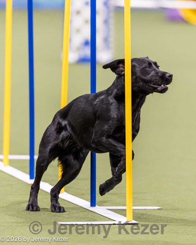 20260222-1146.jpg