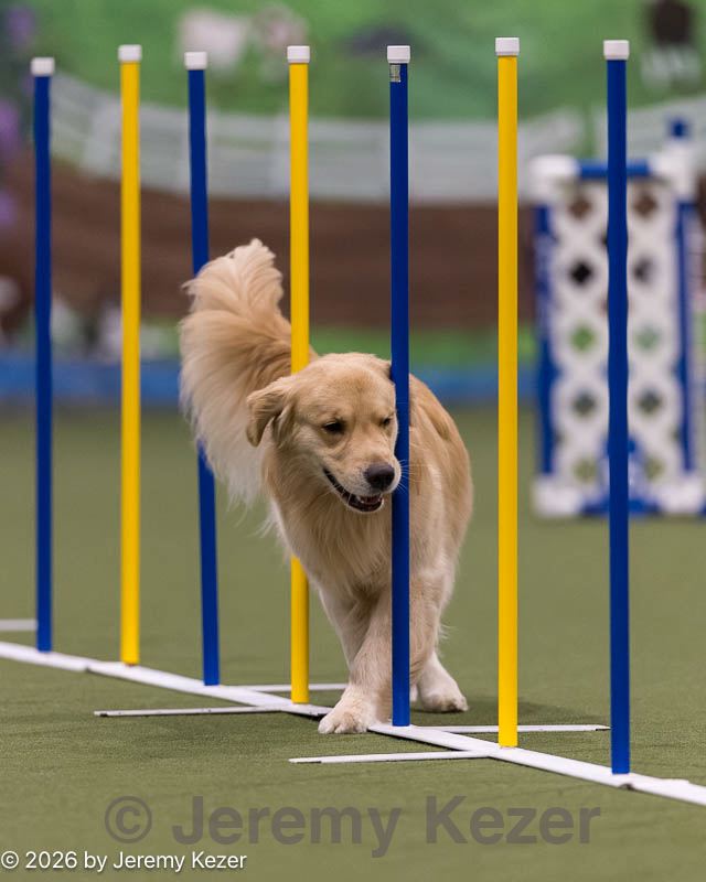 20260222-1150.jpg