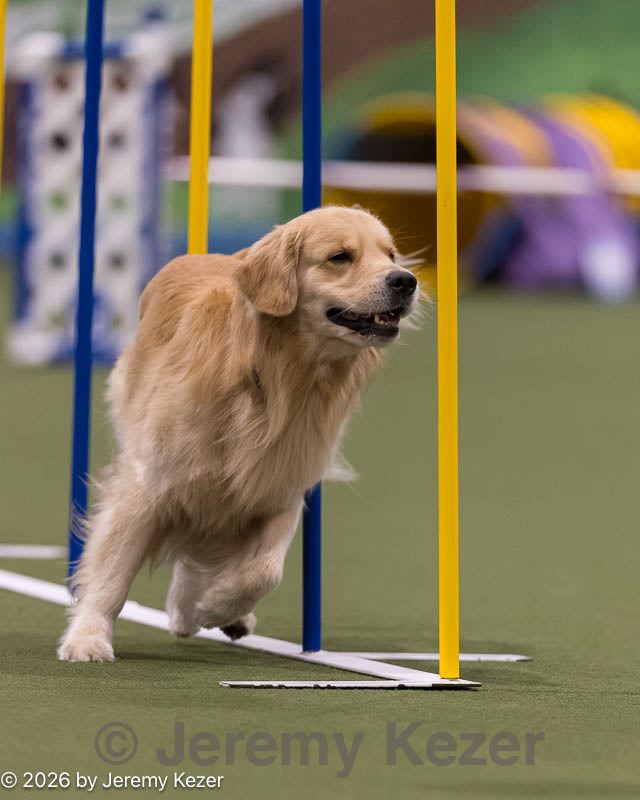 20260222-1151.jpg
