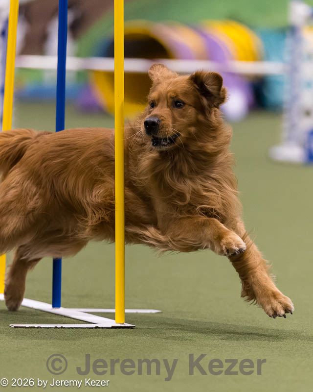 20260222-1162.jpg