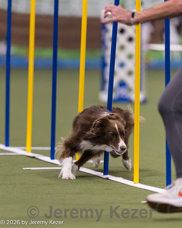 20260222-1176.jpg