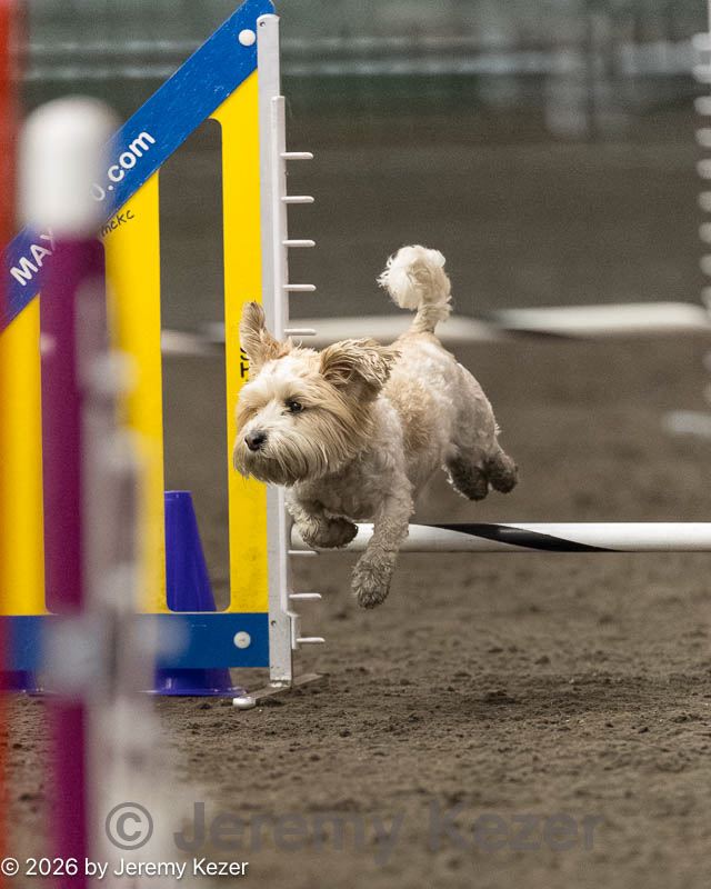20260613-ccm-0035.jpg