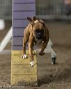 20260613-ccm-0763