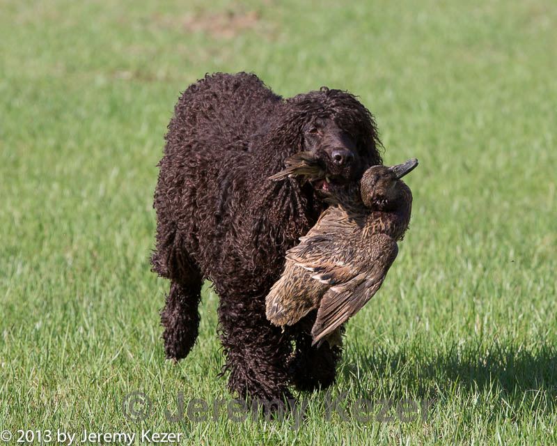 20130415-wcl-0067.jpg