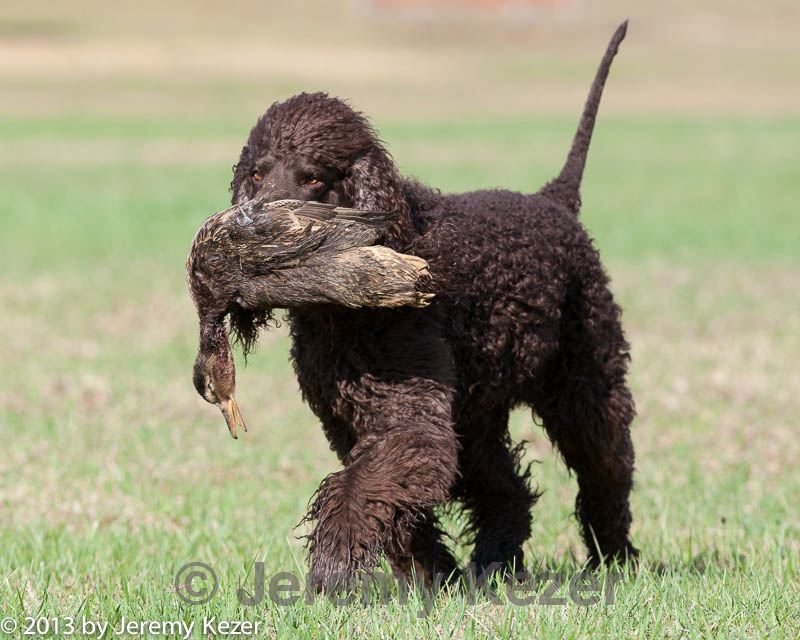 20130415-wcl-0098.jpg