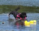 20130825-wwd-0178