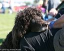 20130928-c-0001