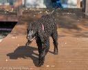 20130928-c-0107