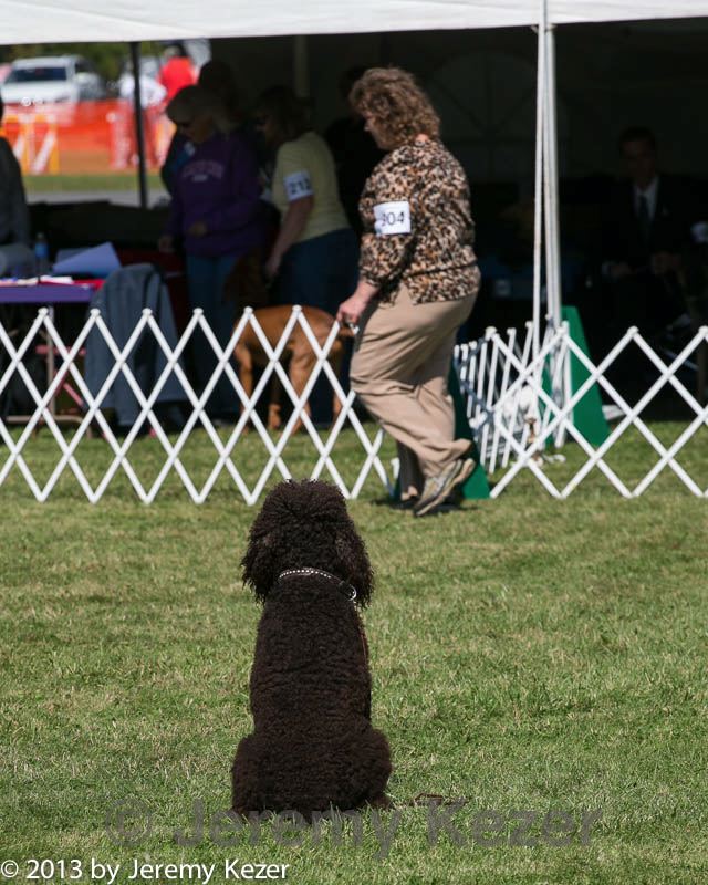 20130928-ob-0021.jpg
