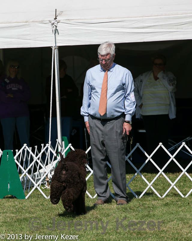 20130928-ob-0029.jpg