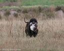 20140426-wcl-0119