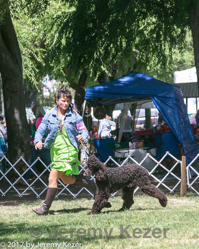 20140607-0455.jpg