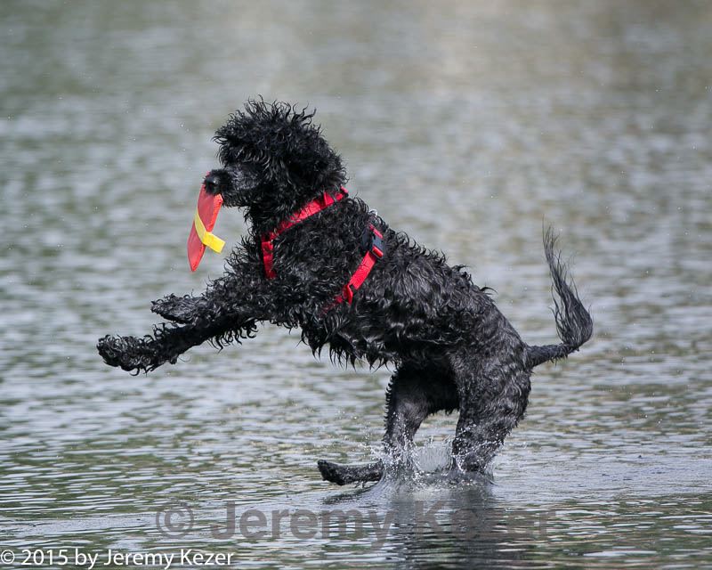 20150823-cwd-0016.jpg