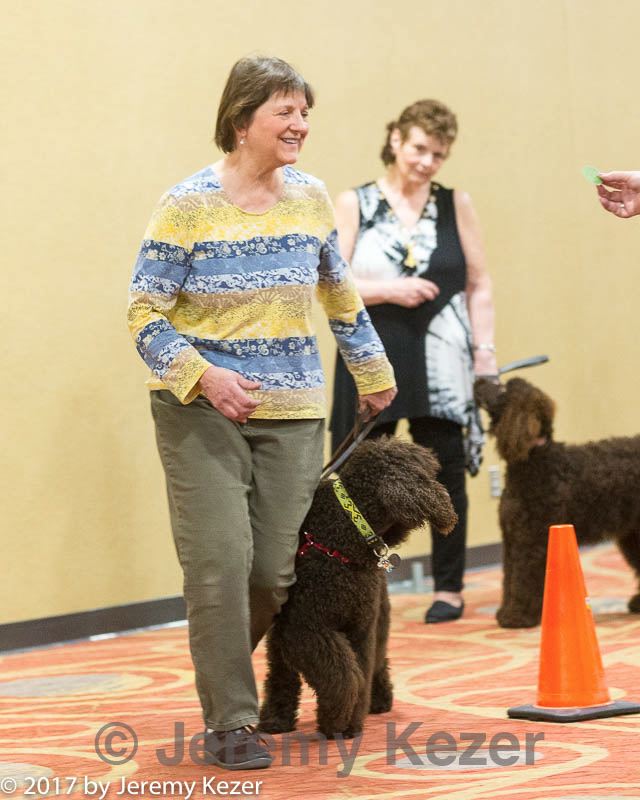 20170427-ga-0058.jpg