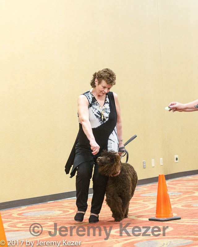 20170427-ga-0062.jpg