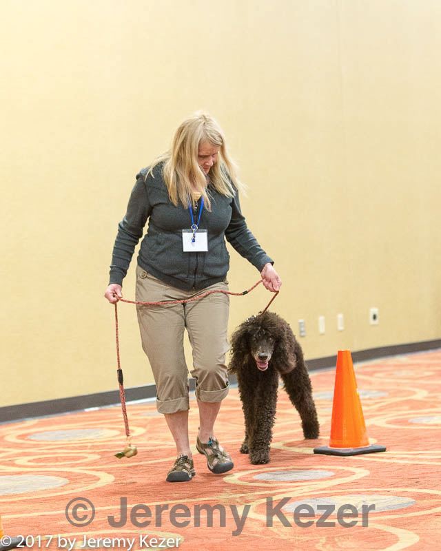 20170427-ga-0064.jpg