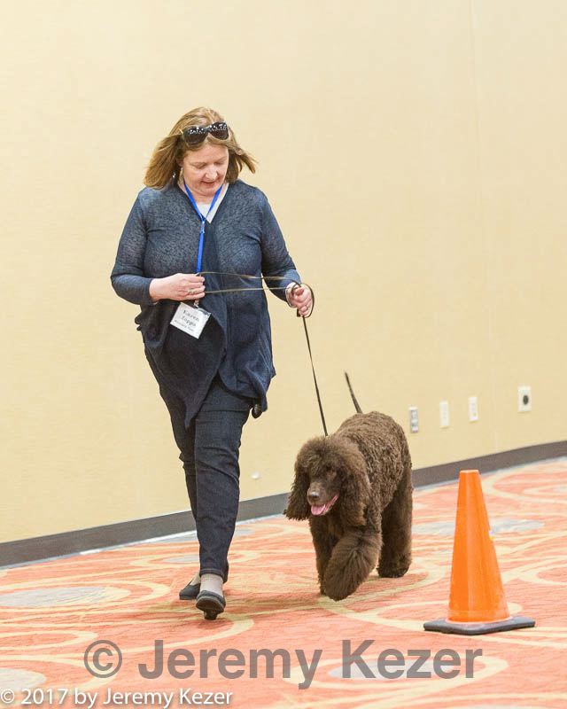 20170427-ga-0076.jpg