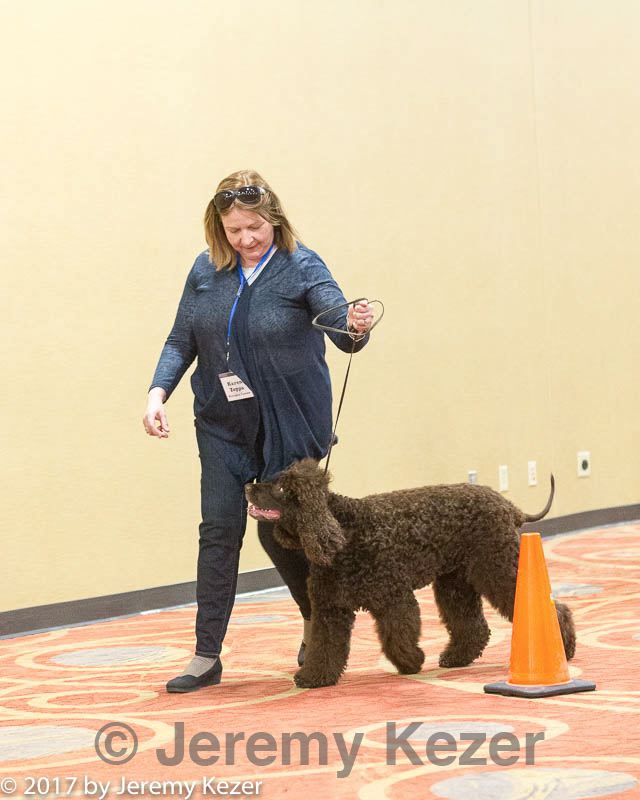 20170427-ga-0079.jpg