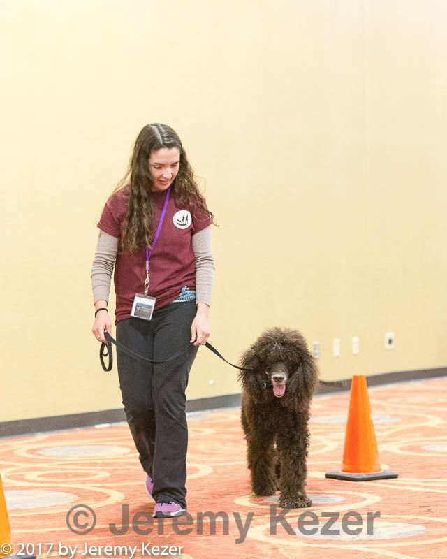 20170427-ga-0082.jpg