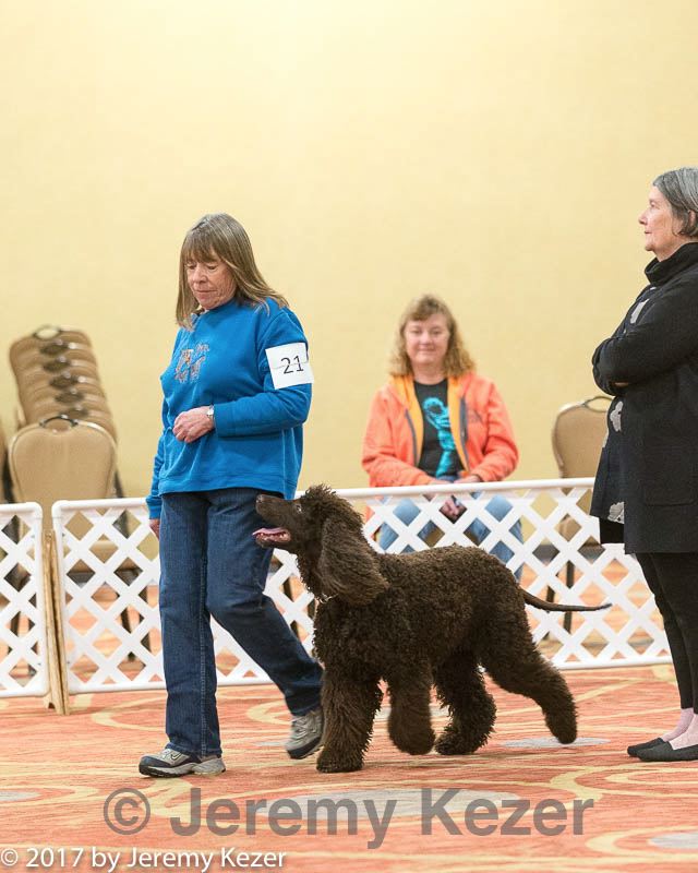 20170427-ob-0289.jpg