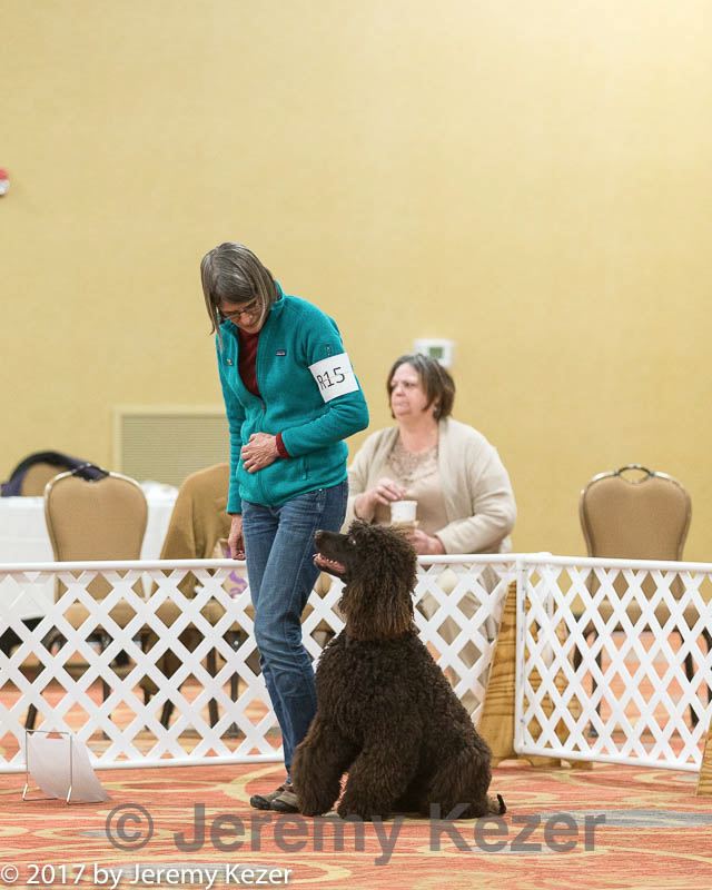 20170427-ra-0296.jpg