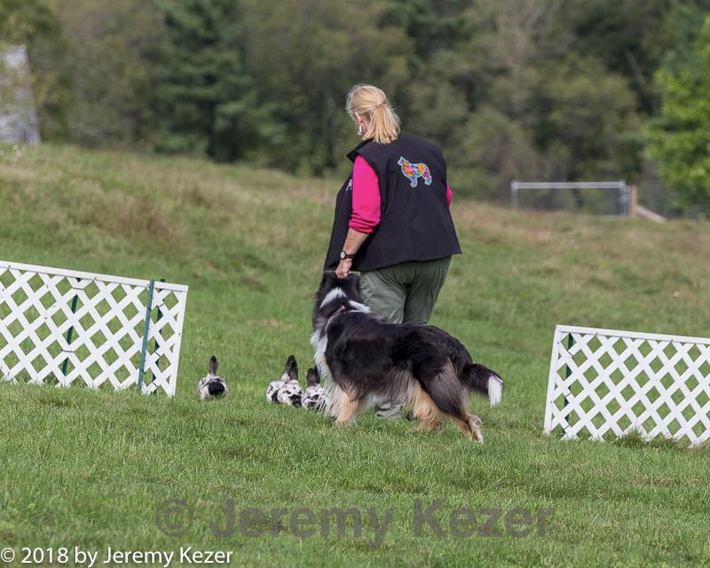 20180922-cca-0886.jpg