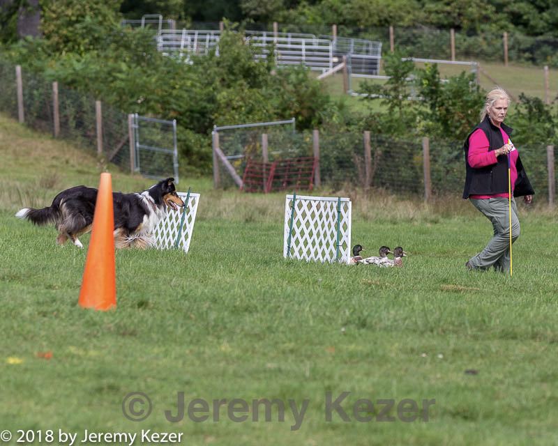 20180922-cca-0897.jpg