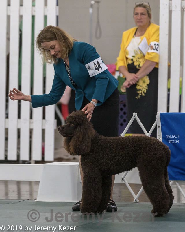 20190515-co-1338.jpg