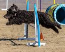 20250512-ag-0005