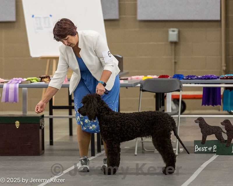 20250514-sw-0012.jpg