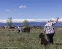 20250515-wcl-0010